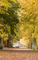 Autumn in the city.
Bke path through neighborhood.