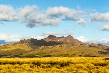 Tuinposter A breathtaking skyline of the Ecuadorian Andes, featuring the majestic volcanoes of Pasochoa and Iliniza against a clear blue sky. © Ammit