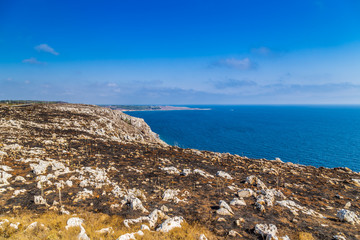 steep cliffs above the sea