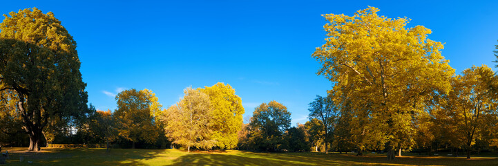 Kurpark in Wiesbaden