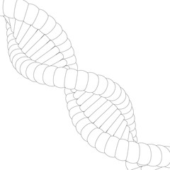 Sketch the structure of DNA