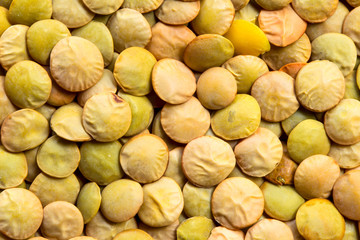 A close-up shot of a vibrant green lentil plant, showcasing its culinary potential through the lens of nature's beauty.