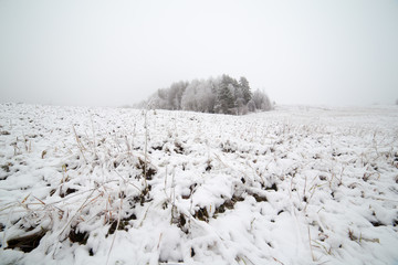 Grass covered with snow on the field.