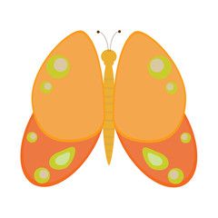 Vector illustration. Orange butterfly with green spots