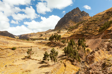 Experience the breathtaking beauty of the Andean landscape in the Ecuadorian Cordillera,where stunning vistas of majestic mountains and rolling hills await.