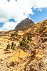 Discover the iconic Andean landscape within the Ecuadorian Cordillera presented in a vertical format capturing the majestic beauty of the region's mountainous terrain