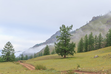 The road in the valley of the Eastern Sayan.
