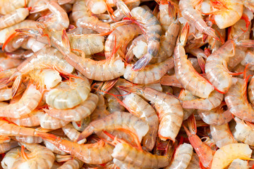 Fresh,succulent shrimp available for purchase,sourced directly from the ocean,ensuring the highest quality and taste.