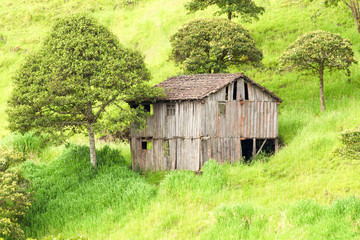 Abandoned Wood House