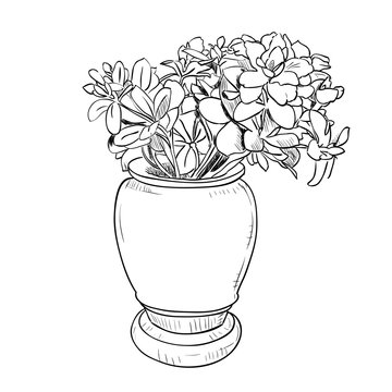 Vector drawing sketch of vase with flowers