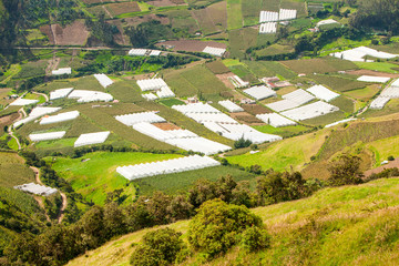 Fototapeta na wymiar Greenhouses In Andes