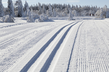TRACES DE SKI DE FOND