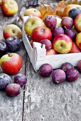 Seasonal fruits. Apples and plums on a wooden table