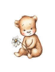 Fototapeta premium Teddy Bear with Daisy