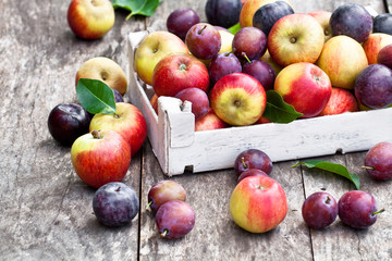 Seasonal fruits. Apples and plums on a wooden table