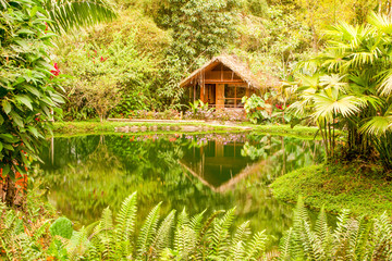 A cozy jungle hut in the lush rainforest of Mindo, Ecuador. Surrounded by towering mountains and...