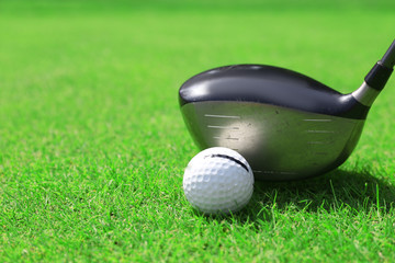 Golf club and ball on a green grass