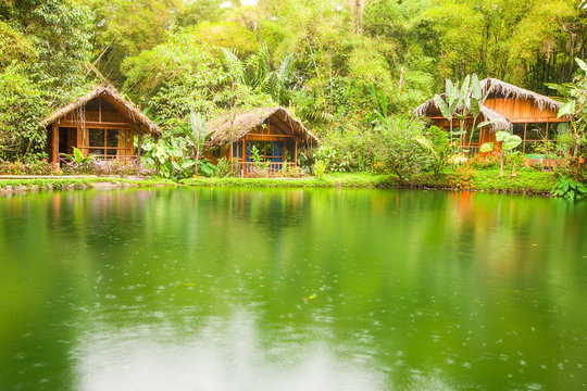 A rustic jungle hut in Ecuador's Amazon rainforest, surrounded by lush greenery, lianas and the flowing waters of the mighty Amazon River.