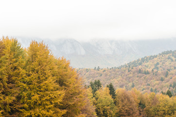 Autumn mountain landscape background.