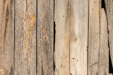 Holz Bretter Grau Verwittert Uralt Textur
