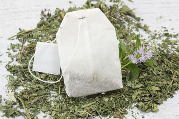 Mint tea bag and fresh mint plant
