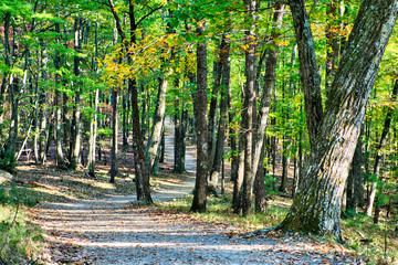 stone mountain north carolina scenery during autumn season