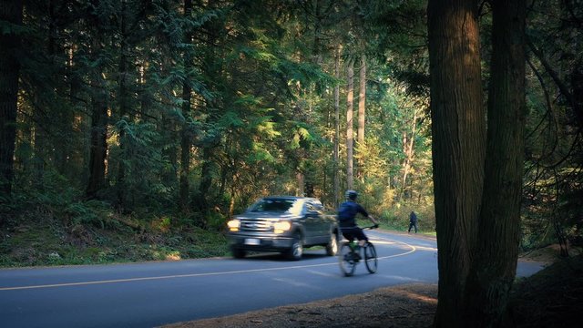 Cyclists Pass Car On Forest Road