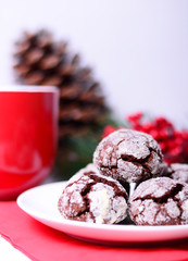 Chocolate cookies on white background