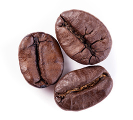 Three coffee beans isolated on white background