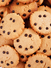 Homemade cocoa cookies