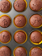 Chocolate muffins
