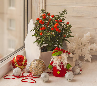 Window decoration for the winter holidays with a toy and nightsh