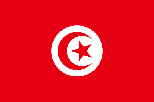 Tunis flag : 11 119 images, photos de stock, objets 3D et images  vectorielles