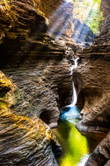 Fototapeta premium Promienie słoneczne przeświecają przez liście w Watkins Glen State Park