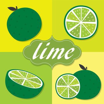 Lime Citrus set with leaf and slice. Vector illustration. EPS 10 & HI-RES JPG Included  