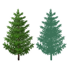 trees tree harvesting/ trees Christmas tree for the holidays and for your pictures of nature forests and plantations in cities and villages