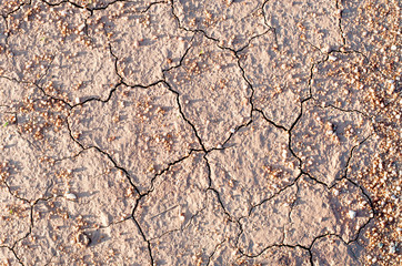 Surface of a grungy dry cracking parched earth for textural back