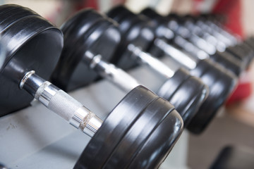 dumbbells for weight lifting in fitness room