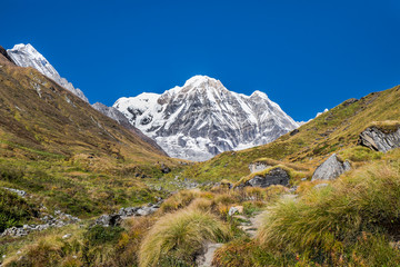 Fototapeta na wymiar Annapurna south peak