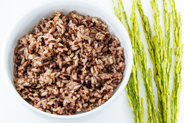 Black rice in bowl and and paddy rice on white background.