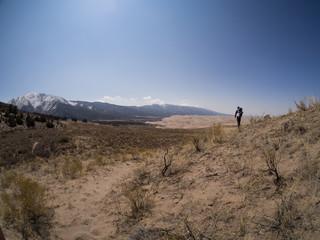 Fototapeta premium Backpacker Walks Along Sandy Path at Great Sand Dunes National Park