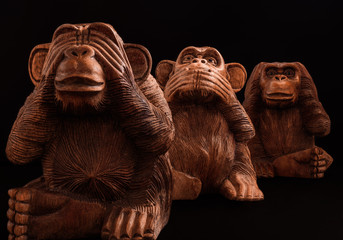 three wise monkeys © SergeyF