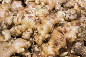 fresh ginger in the market
