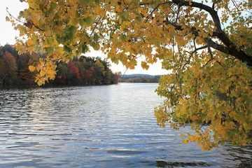 Fleecedeken met foto Fall colors by the lake © goofyfoottaka