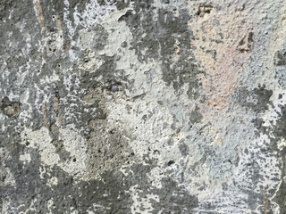 Texture mur 1