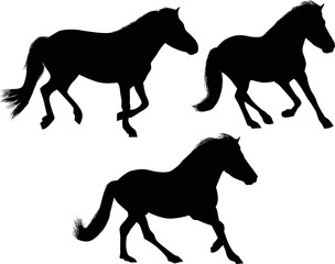 Fototapeta na wymiar three running black horses on white