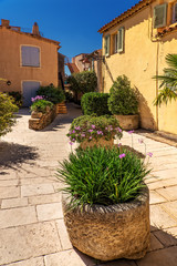 Naklejka premium Blumenkübel