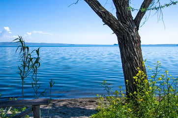 Bolsena lake shore - Viterbo - Lazio - Italy travel