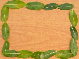 Naklejka premium Green leaf on wood background