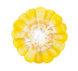 corn isolated on white background. © nipaporn